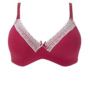 M2b Ruby Modal and Crochet Lace Maternity T-Shirt Bra