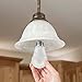 TCP 100W Equivalent, LED A21 General Purpose Light Bulb, Daylight, Non-Dimmable