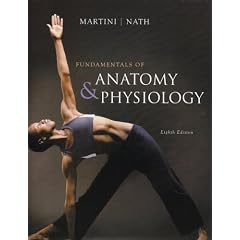 Fundamentals of Anatomy & Physiology
