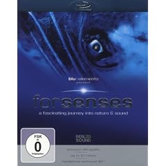 forsenses - A Fascinating Journey into Nature & Sound [Blu-ray]