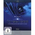 forsenses - A Fascinating Journey into Nature & Sound [Blu-ray]