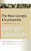 The New Georgia Encyclopedia Companion to Georgia Literature