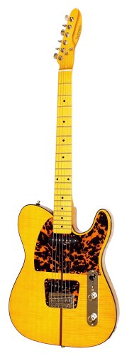 Hohner HTA-490 The Artist Reissue Electric Guitar