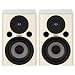 FOSTEX �A�N�e�B�u�X�s�[�J�[ PA-2(BG)