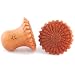 Pair of Sabo Wood Queen Daisy Plugs: 00g