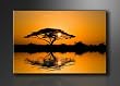 Bild auf Leinwand Natur 120 x 80 cm Modell-Nr. XXL 5116 Bilder fertig gerahmt�auf echtem Holzrahmen riesig. Ausf�hrung Kunstdruck als Wandbild auf Rahmen. G�nstiger als �lbild Gem�lde Poster Plakat mit Bilderrahmen