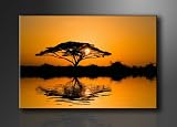 Bild auf Leinwand Natur 120 x 80 cm Modell-Nr. XXL 5116 Bilder fertig gerahmt mit Keilrahmen riesig. Ausführung Kunstdruck als Wandbild mit Rahmen. Günstiger als Ölbild Gemälde Poster Plakat mit Bilderrahmen