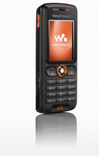 Sony Ericsson W200a Unlocked Cell Phone with MP3/Video Player, Memory Stick Micro Slot--U.S. Version with Warranty (Rhythm Black)