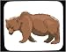 Mouse Pad with grizzly, ear, snout, bear, fur, animal