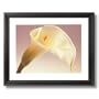 Calla Lilly Flower Floral Contemporary Wall Decor Picture Black Framed Art Print