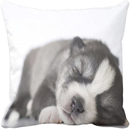 Richess Husky Throw Pillow Case Puppey Throw Pillows