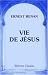 Book Vie de Jésus