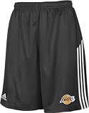 Los Angeles Lakers Banner 