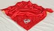 Iowa State Baby Blanket