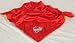 Iowa State Baby Blanket