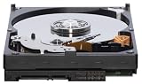 Western Digital Caviar Green 500 GB Bulk/OEM Hard Drive 3.5 Inch, 16 MB Cache, 5400 RPM SATA II WD5000AACS