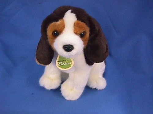 Plush Ben Baby Beagle 10 41u2EW81meL Plush Ben Baby Beagle 10