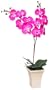 GKI Bethlehem Lighting 28-Inch Purple Orchid with LED Lights, Battery Operated