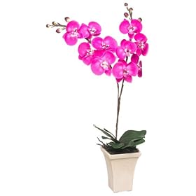 GKI Bethlehem Lighting 28-Inch Purple Orchid with LED Lights, Battery Operated by GKI Bethlehem Lighting