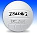 Sporting Goods : Spalding TF 1500 Volleyball