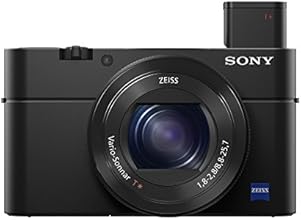 Sony DSC-RX100M IV Cyber-shot Digital Still Camera