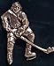 Ice Hockey Badge