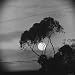 Moon over the California Coast After Russians Sent Rocket with Payload to Moon Photographic Poster Print by Ralph Crane, 16x16