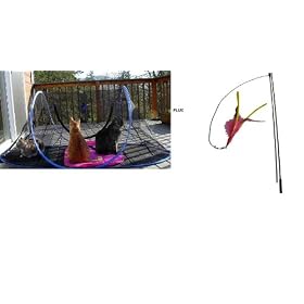 Outdoor Feline Funhouse Plus Da Bird Pull Apart by WildWhiskers