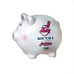 Cleveland Indians Born to be a Fan Piggy Bank