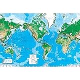 World Map Wall Mural--8'8x13'0