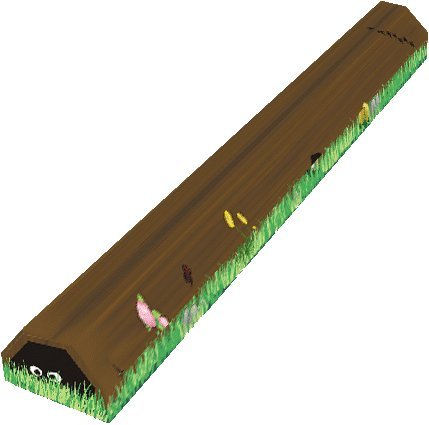 Jungle Balance Beam