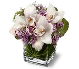 Teleflora