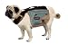 Outward Hound Excursion Dog Backpack, Small