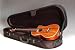 Kala Concert Ukulele Polyfoam Case
