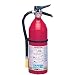 Kidde Pro Line Tri-Class Dry Chemical Fire Extinguisher, Charge Weight 5 lbs.