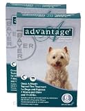 12 MONTH Advantage Teal: For Dogs 11-20lbs.