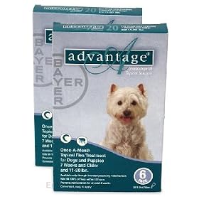 12 MONTH Advantage Teal: For Dogs 11-20lbs
