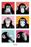 The Chimp - Poster - Pop + 2 St. Post...