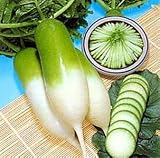 Rare Chinese Green Luobo Radish 75 Seeds