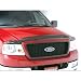 Lund 18484 Interceptor Smoke Wrap-Around Bug Shield