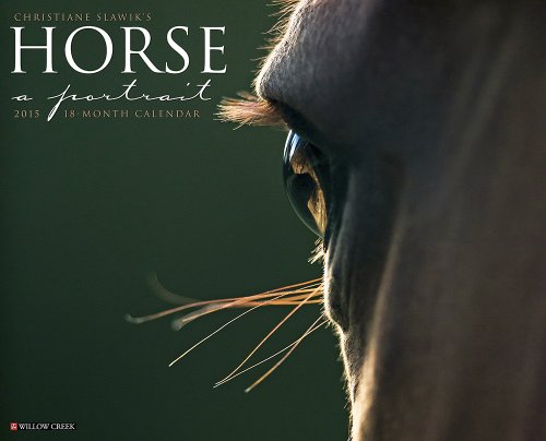 Horse: A Portrait 2015 Wall Calendar