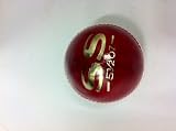 SS Practice Cricket Balls Set of 6 Red