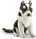 ハスキーコイヌ No.5269