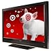 VIZIO 32" 1080p LCD HDTV - Java (VOJ320F1A)