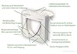 Katzent�r PetPorte Smart Flap - elektronisch f�r Microchip