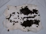 Genuine Pony Print Rabbit Hide