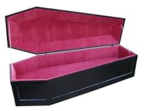 Hot Sale MHP The Nicodemus Coffin Bed