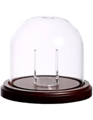 Large Glass Pocket Watch Display Dome with Walnut Base