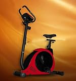 Yukon Olympia Upright Bike