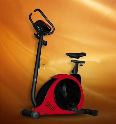 Yukon Olympia Upright Bike